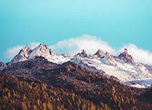 劳塔罗：欧冠决赛0-5输给大巴黎之后，我5天都没有说话